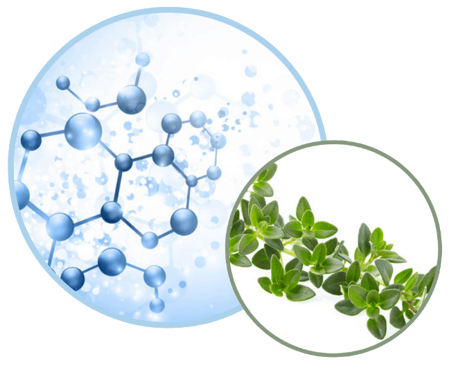 PreVasive | Plant-Based Disinfectants for a Safer, Greener Clean